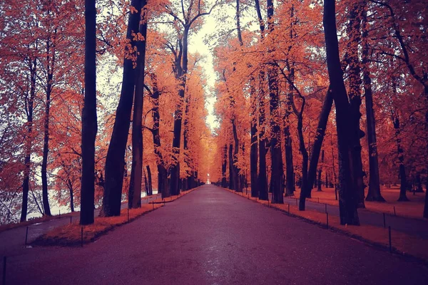 Outono no parque da cidade — Fotografia de Stock