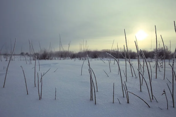 Snö i vinterlandskapet — Stockfoto