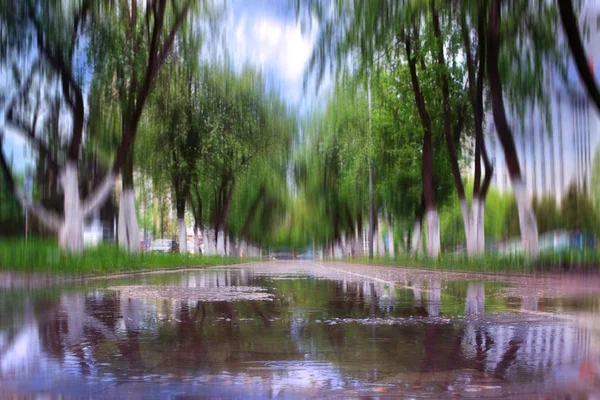 Autunno nel parco cittadino — Foto Stock