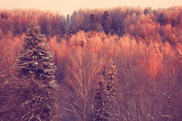 Increíble paisaje de invierno —  Fotos de Stock