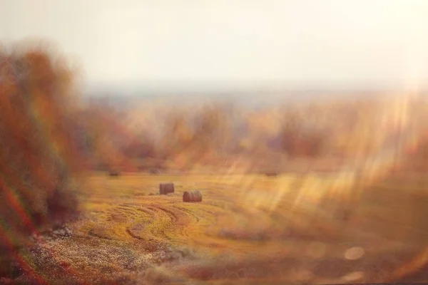 フィールドで干し草の山の風景 — ストック写真