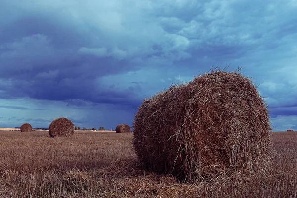 Landscape of haystacks in a field — Stock Photo, Image