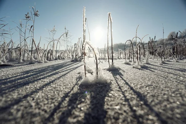 Vinter natur i frost — Stockfoto