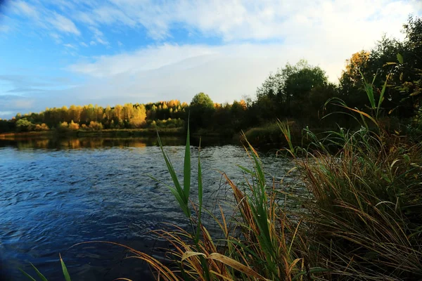 Outono Floresta paisagem fluvial — Fotografia de Stock