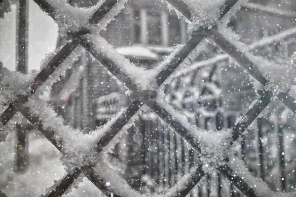 Сталева решітка в снігу — стокове фото