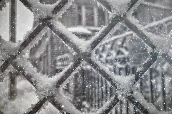 Stahlrost im Schnee — Stockfoto