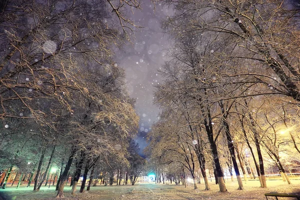 Vinter på natten i parken — Stockfoto