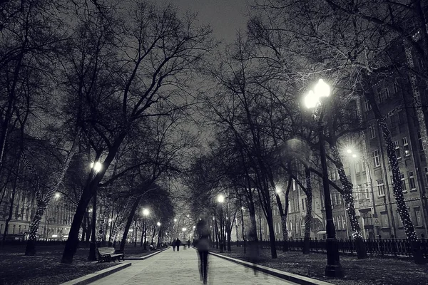 Zima v noci v parku — Stock fotografie