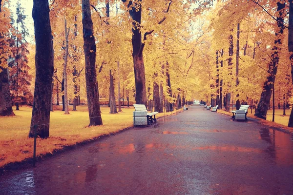 Autumn in the city park — Stock Photo, Image