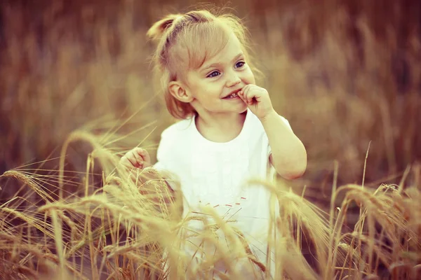 Little girl in field — Stock Photo, Image