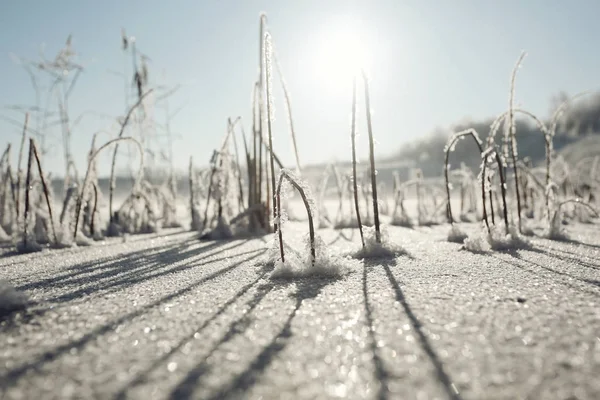 Carretera nevada en invierno — Foto de Stock