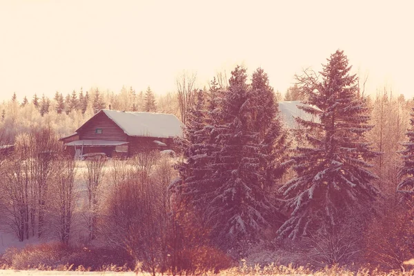 Frostig vinter morgon natur — Stockfoto