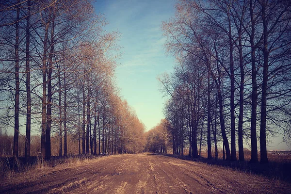 Autunno nel parco cittadino — Foto Stock