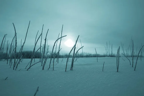 Sníh v zimní krajině — Stock fotografie