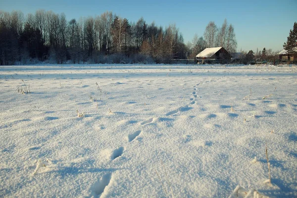 冬の雪景色 — ストック写真