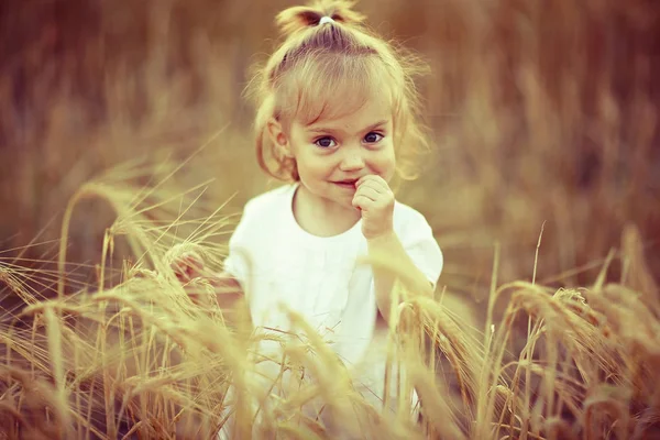 Bambino femminile giovane in un campo — Foto Stock