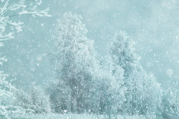 Сніжне зимовий пейзаж — стокове фото