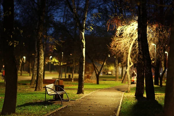 도시 공원의 가을 — 스톡 사진