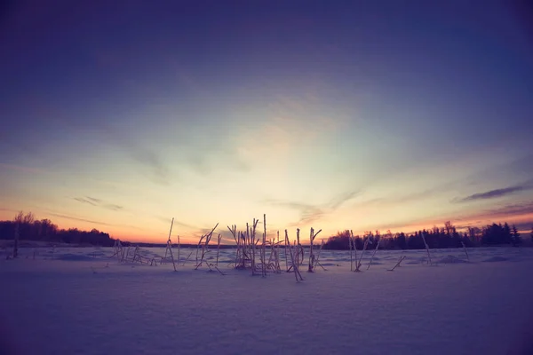 Paysage enneigé d'hiver — Photo