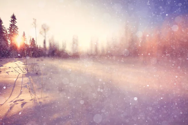 Paesaggio invernale con fiocchi di neve — Foto Stock