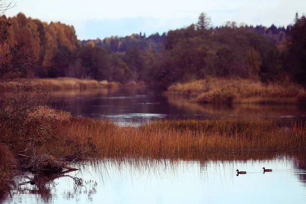 Herfst boslandschap rivier — Stockfoto