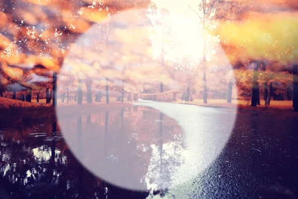 Gün sonbahar park — Stok fotoğraf