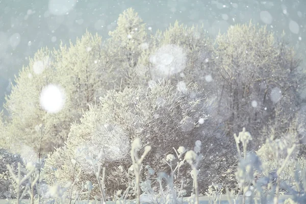 Frostige Landschaft mit Bäumen — Stockfoto
