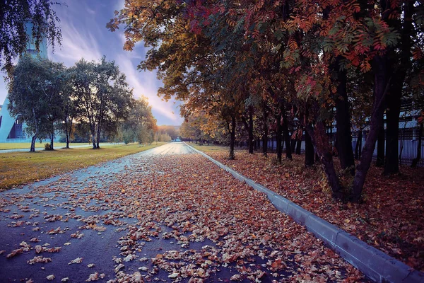 Otoño en parque de la ciudad —  Fotos de Stock