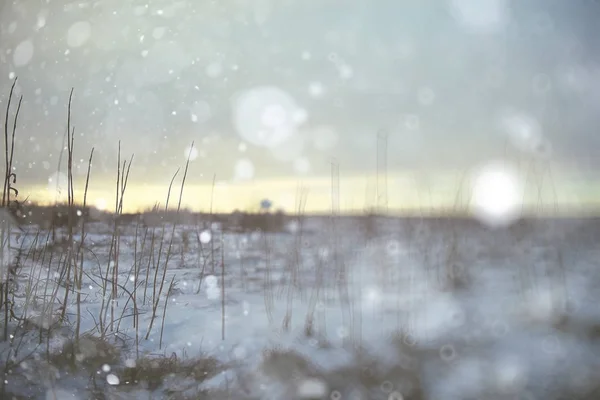 Campo de invierno bajo nieve —  Fotos de Stock