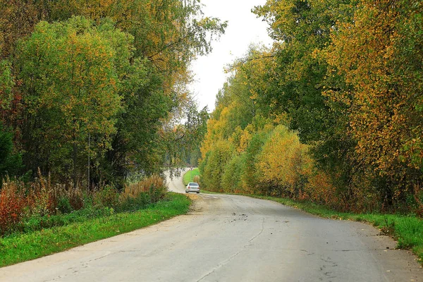 Allée dans le parc d'automne — Photo