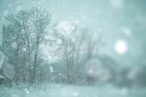 Χειμερινό χιονισμένο δάσος — Φωτογραφία Αρχείου