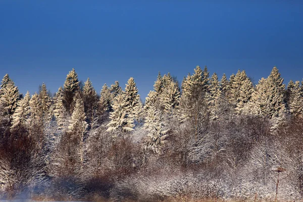 Paisaje invernal en el campo —  Fotos de Stock