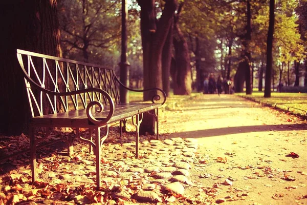 Banco no parque de outono — Fotografia de Stock