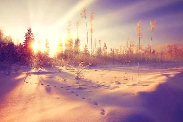 Slunečné zimní krajina na den — Stock fotografie