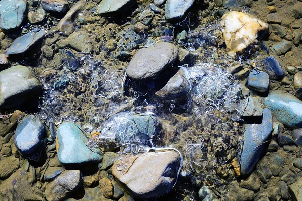 Pebbles in ice water — Stock Photo, Image