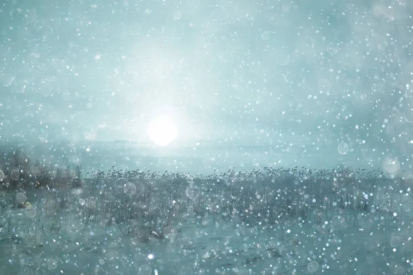 雪在冬天风景 — 图库照片