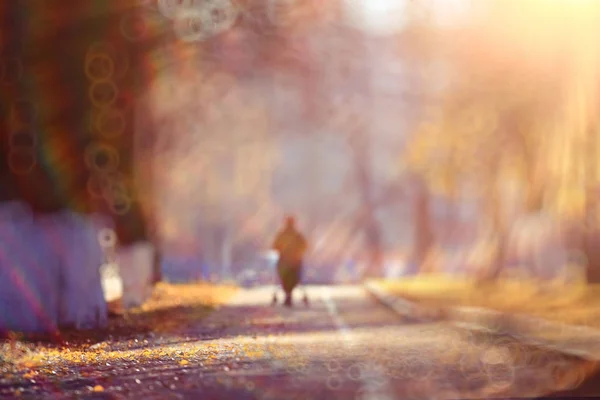 Caminho de fundo desfocado no parque de outono — Fotografia de Stock