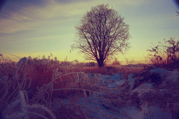 Дивовижні зимовий пейзаж — стокове фото