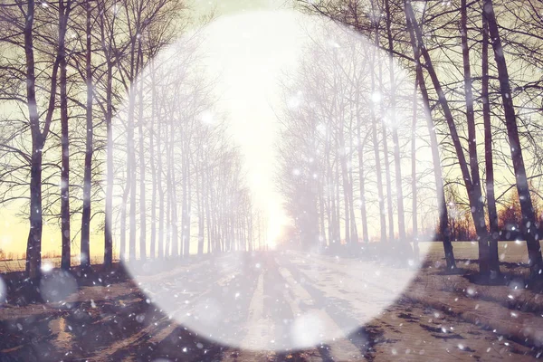 Círculo com floresta de inverno — Fotografia de Stock