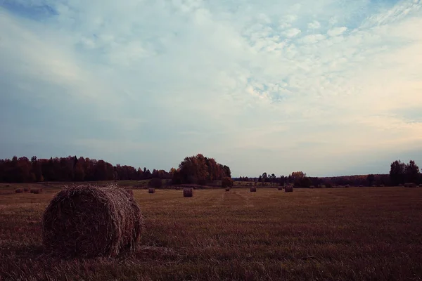 Paysage de meules de foin dans un champ — Photo