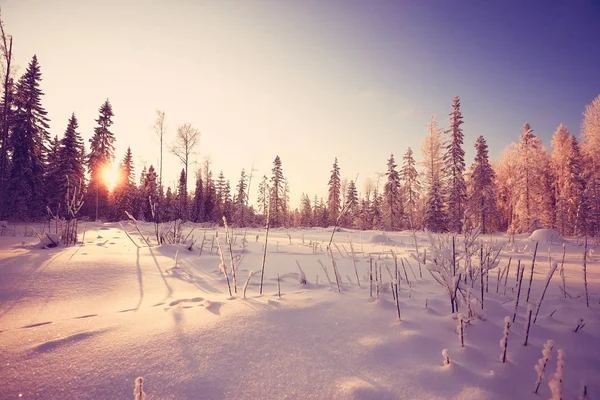 Route enneigée en hiver — Photo