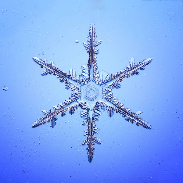 Σουτ μακροεντολή όμορφη νιφάδα χιονιού — Φωτογραφία Αρχείου