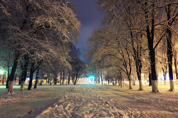 Night winter landscape in amazing city on holiday