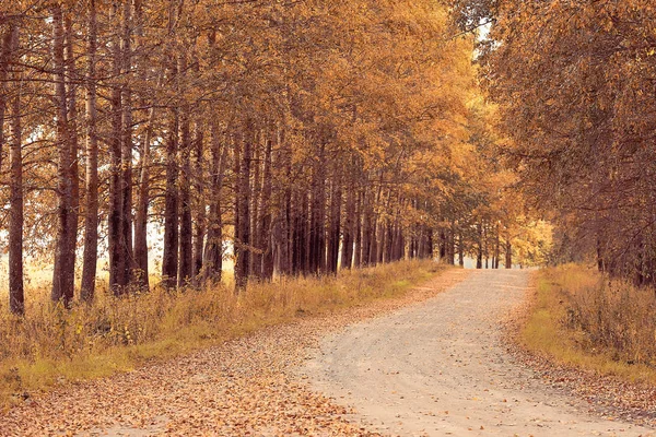 Rodovia Outono paisagem — Fotografia de Stock