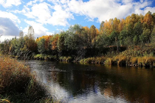 Autumn Forest river landscape — Stock Photo, Image