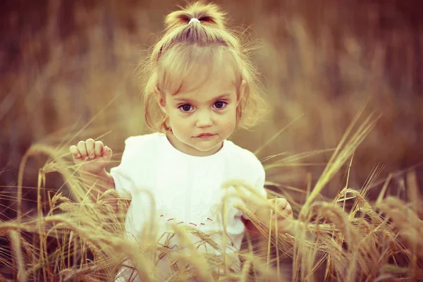 Young female child in a field — Stock Photo, Image