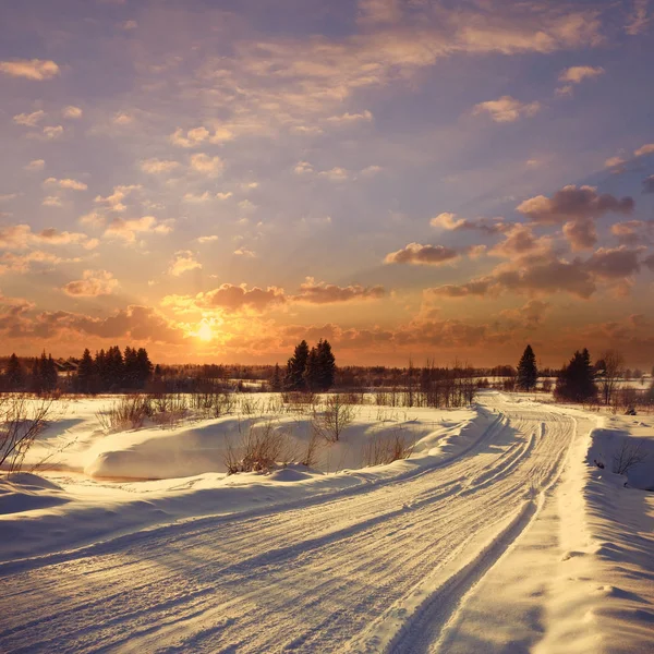 Verbazingwekkende winterlandschap Rechtenvrije Stockfoto's