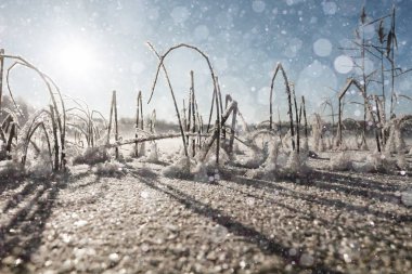 Kar taneleri ile kış manzarası