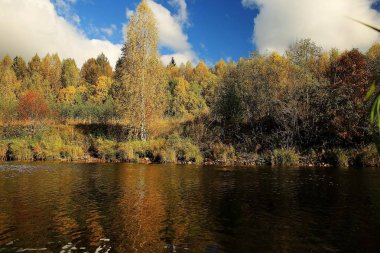 Sonbahar orman nehir manzara