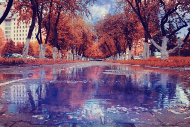 Şehir parkında sonbahar